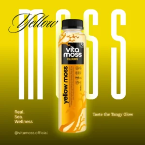 Yellow Moss Elixir